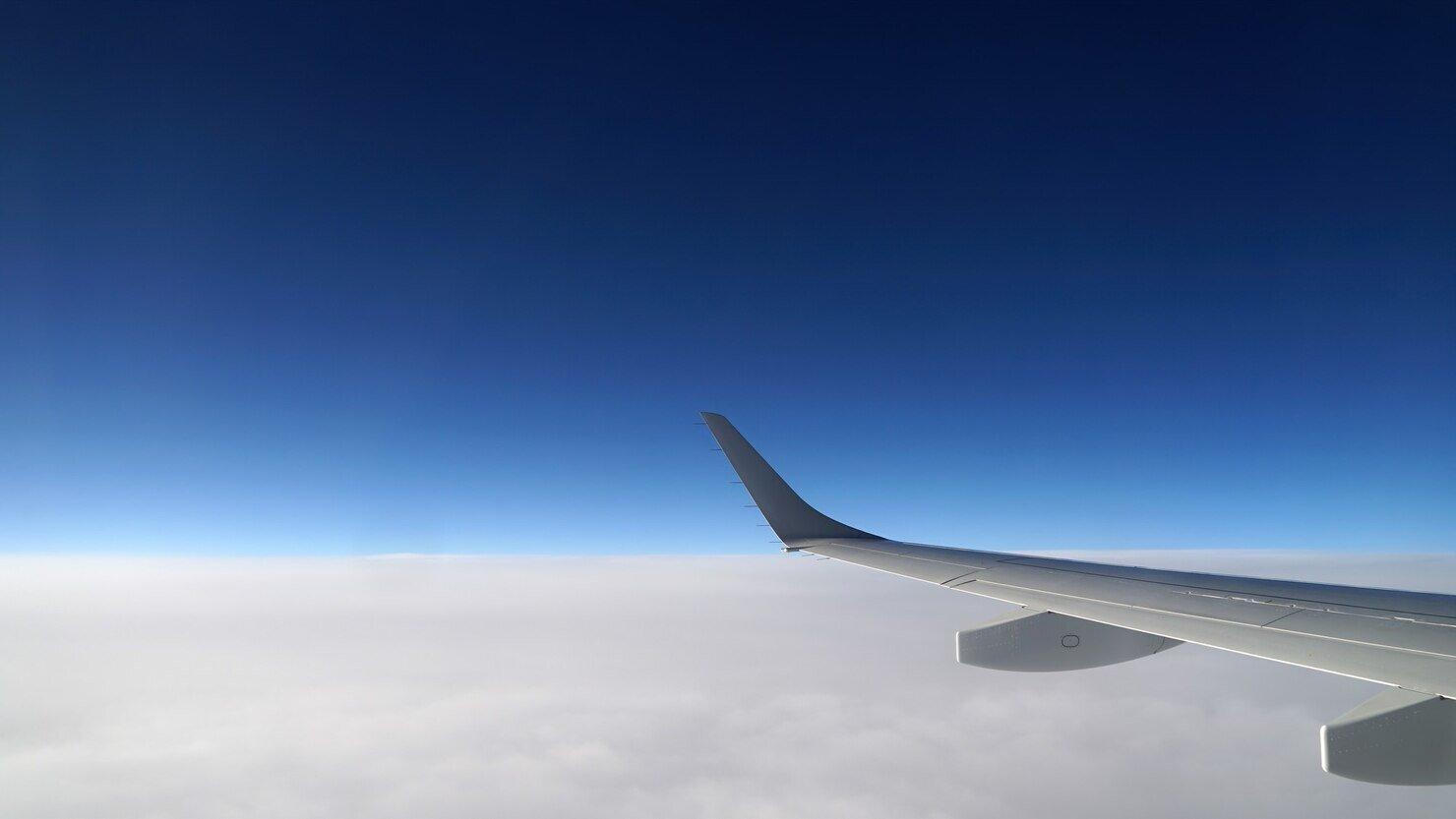 Plane wing